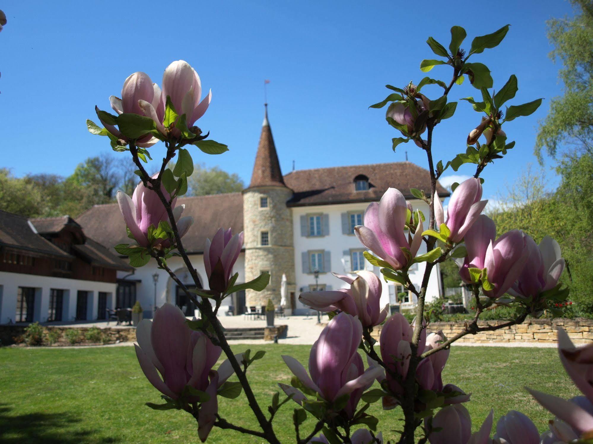 Chateau Salavaux Vully-les-Lacs Exterior photo